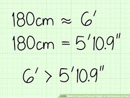 29 cogent centimeter to feet and inches conversion chart