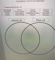 Animal and plant cell comparison worksheets. Fundamental Unit Of Life Worksheet 1 Comparing Chegg Com