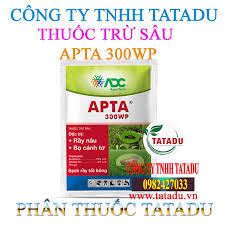 Apta 300WP