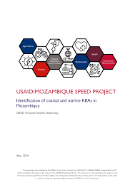 Image result for Triainolepis sancta