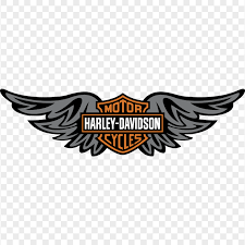 Image result for harley davidson wing