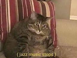 Cat Memes On Instagram No Please Not The Jazz Music Anything But The Jazz Music Cat Catmemes Memes Sadcats Ki Cat Memes Cats Beautiful Cats