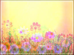 We did not find results for: 32 Field Of Spring Flowers Wallpaper On Wallpapersafari