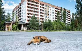 But chernobyl today is far from the wasteland of popular imagination. Is It Safe To Visit Chernobyl Live Science
