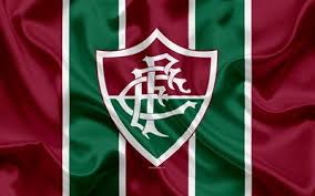 Resultado de imagem para imagem fluminense