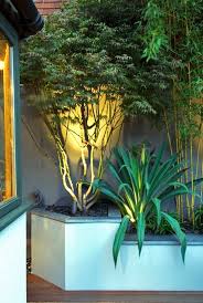 Contemporary Planting Irrigation Of Architectural Plants Architectural Plants Small City Garden Garden Design