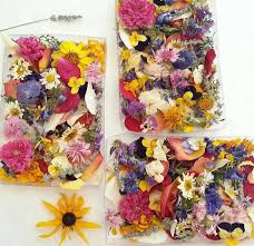 Plus, drying flowers you've grown yourself is an excellent way to extend your enjoyment of the fruits of your labors. 10 Wedding Favors Dried Flowers Craft Supply Wedding Confetti Flower Girl Wedding Decor Aisle Decor Reception Table Decoration Dried Flowers Crafts Flower Petals Wedding Wedding Petals