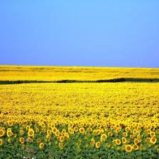 Pin By Christie On All Things Texas Waxahachie Texas Visit Texas Texas Places