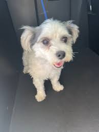 Lynn Police Department