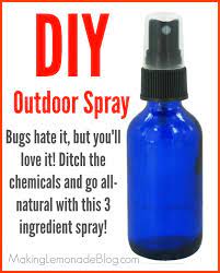 Homemade Outdoor Camping Spray Bugs Hate It Making Lemonade