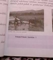 Proses membajak sawah menggunakan hewan kerbau. Deskripsikanlah Isi Gambar Berikut Secara Terperinci Buatlah Dalam 1 2 Paragraf Sederhana Sebelum Brainly Co Id