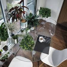 Undefined Glass Table Plants Table