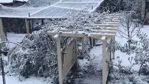 Explore the many things to see and do within each town throughout the blue mount. Snow Falls In Katoomba As Cold Snap Strikes Australia S Blue Mountains The Mercury