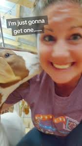 Good Bad Mother Livestock