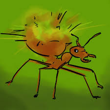 Our integrated pest control targets some of the most common pests, such as ants , bed bugs , cockroaches , fleas , flies , mosquitoes , rodents , spiders , stinging insects let western provide you with the best in pest control solutions. These Exploding Ants Take Defending Their Colony To The Next Level Sbnation Com