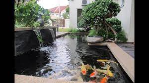 Kolam ikan hias air nya super jernihподробнее. 15 Desain Model Kolam Ikan Hias Minimalis Dengan Air Mancur Youtube