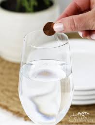 Definitions by the largest idiom dictionary. How To Keep Flies Away Outside With Pennies Bag Of Water