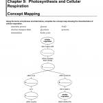 Photosynthesis And Cellular Respiration Flow Chart Diagram