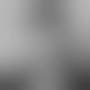 Profile Picture of The Great and Modest Life of Mary Reynolds | The Art Institute of Chicago (@artic.edu) on Google