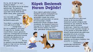 kopek beslemek haram degildir kopek kitap din