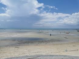 Image result for Malacca Blue 1990 Vista