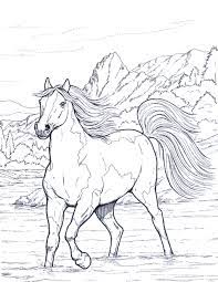 Coloring Pages Of Animal Horse Free For Kids Animal Vista Horse Coloring Pages Horse Coloring Books Horse Coloring