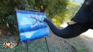 Panduan video cara menggambar pemandangan ini dipandu Unik Gajah Ini Mahir Melukis Gunung Hasilnya Seperti Nyata Okezone Lifestyle