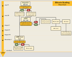 Bitcoin is headed for another split this year in november while creating a third version of the most valued cryptocurrency. Forking Hell The Bitcoin Split Chris Skinner S Blog