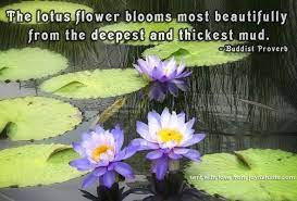 We did not find results for: Pin By Tiffany Moore On Kamala Lotus Lily Lotus Flower Quote Lotus Quote Flower Quotes
