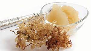 Add your soaked sea moss and up to 2 cups of spring water to blend; How To Make Sea Moss Gel Detox Cure