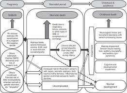 Neonatal Hyperbilirubinemia And Rhesus Disease Of The Newborn Incidence And Impairment Estimates For 2010 At Regional And Global Levels Pediatric Research