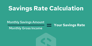 How do you figure out the monthly income? Savings Rate 101 What Is It And Why Is It Important Savology