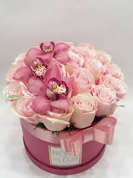 Pin On Flower In Box
