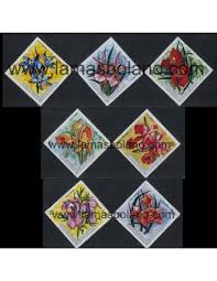 Image result for Platycoryne crocea