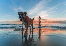 Pin On Beach Life