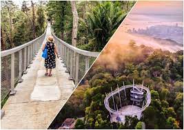 Maybe you would like to learn more about one of these? The Habitat Penang Hill A Complete Guide To An Enchanting Malaysian Rainforest Experience Kkday Blog