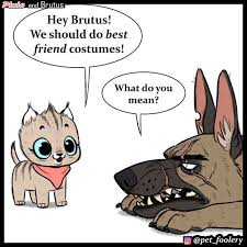 Remember Pixie Brutus That Recently Melted Our Hearts They Ve Just Released A New Comic For Halloween Cute Comics Brutus Funny Drawings