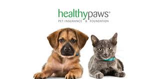 In comparison, nationwide pet insurance, long the leader in terms of size and the number of enrolled pets, averaged around 7 out of 10. Healthy Paws Pet Insurance Review 365 Pet Insurance