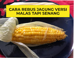 Nah, penasaran kan apa saja manfaatnya? Cara Rebus Jagung Versi Malas Tapi Sedap Berlemak Budak Bandung Laici