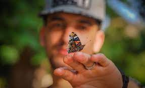 Maybe you would like to learn more about one of these? How To Create A Butterfly Garden David Suzuki Foundation