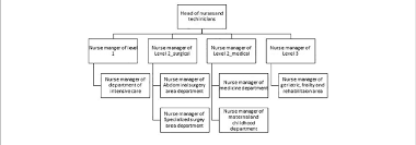 Organization Charts Of The Nurses In This Hospital