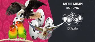 Tafsir Mimpi Burung Dalam Togel Burung Tafsir Mimpi