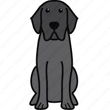 Labrador Retriever Download Cartoon Dog Labrador Retriever Labrador Dog Labrador Retriever Dog Labrador Retriever