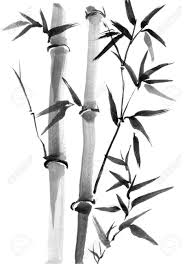 Bamboo Trees Hand Drawn With Ink In Traditional Japanese Painting Japanese Painting Japanese Ink Painting Bamboo Art