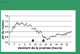 Home page l alimentation quilibr e. Memoire Online Etude De Cas Chute Du Taux Butyreux Chez La Vache Laitiere El Houssain Bouichou