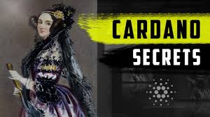 .cardano will realize its highest value upsurge all throughout the year and m. Cardano Future Went All In Cardano