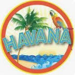 U2 Tribute - U2 Topia LIVE at Havana New Hope!