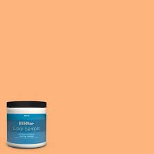 Behr Premium Plus 8 Oz P220 5 Fuzzy
