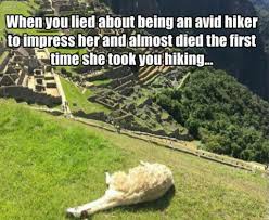 Funny Hiking Memes Run Bryan Run