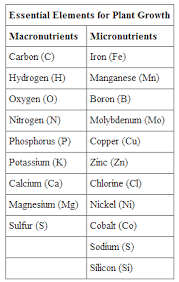 31 1c Essential Nutrients For Plants Biology Libretexts